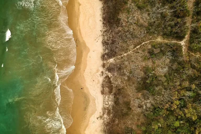 seabeach