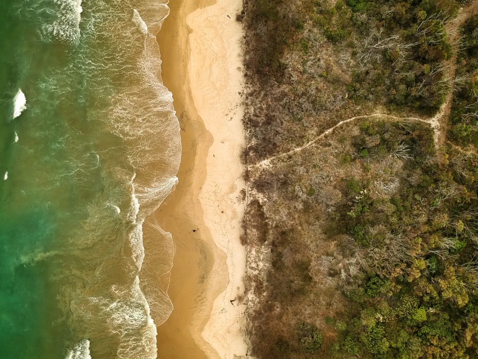 seabeach